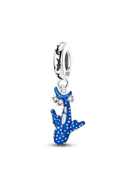 Choice42 TTC493 925 Sterling Silver Charms Beads Passport Dog Shoes Dangle Fi...