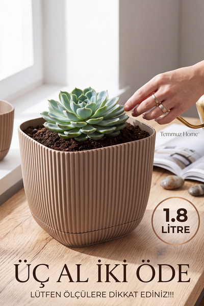 TEMMUZ HOME 1 Adet Mercan Kare Saksı Dekoratif Kaktüs Ve Çiçek Saksısı 3 No