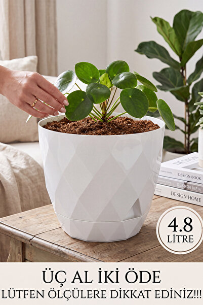 TEMMUZ HOME Karasu Yakamoz Plastik Saksı No4 4.8 Litre Çiçek, Bitki, Kaktüs, ...