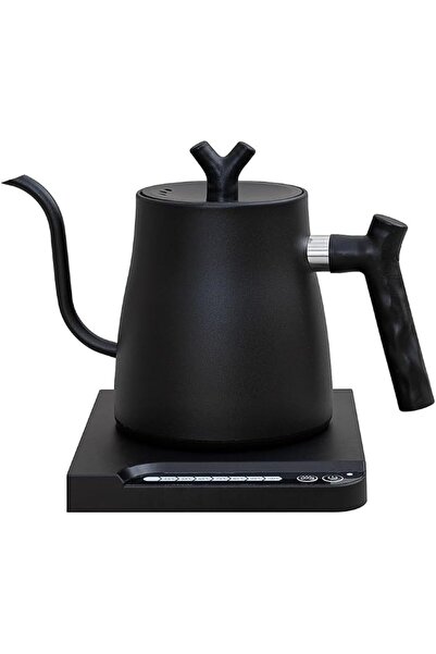 GENERAL Electric Gooseneck Kettle, 304 Stainless Steel Electric Water Kettle ...