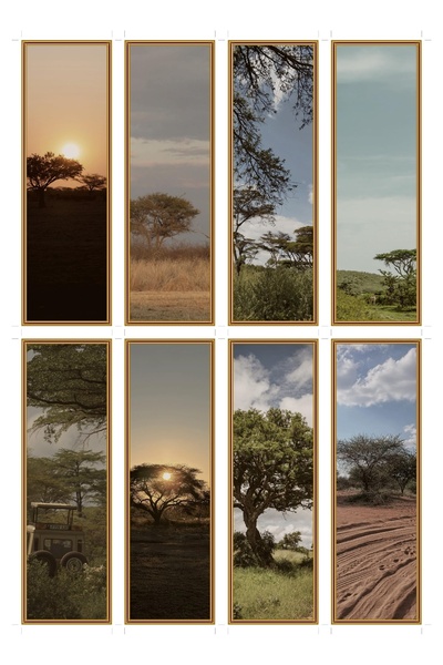 OEM Σετ 8 σελιδοδεικτών με θέμα σαβάνα, δέντρο ακακίας και ηλιοβασίλεμα, από ...