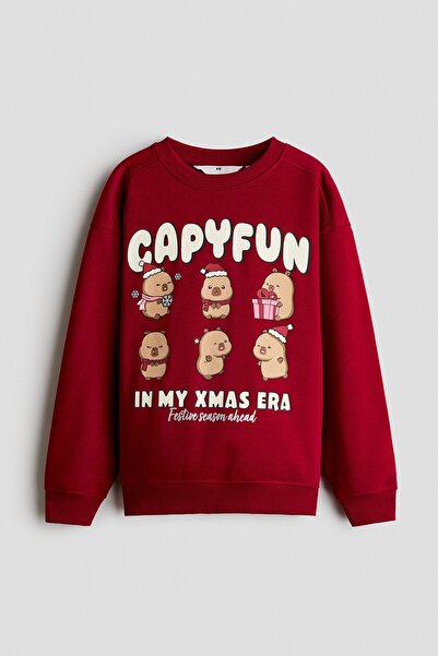 H&M Baskı Motifli ve İçi Tüylü Sweatshirt