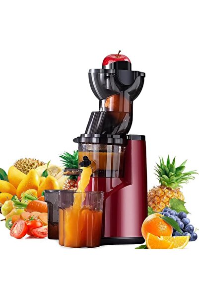 GENERAL Cold Press Juicer,1000W, 600ML Capacity Slow Masticating Juicer Machi...