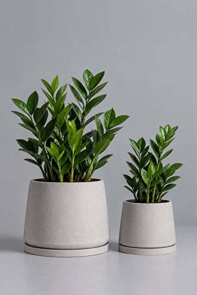 VASODEK Dekoratif Beton Saksı V-129 - 2'LI-TURUNCU