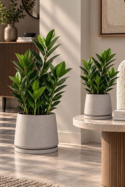VASODEK Dekoratif Beton Saksı V-129 - 2'LI-AÇİK GRİ