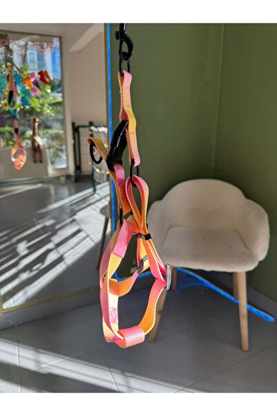 Tutma Aparatlı, Metal Klipsli, Pembe Sarı Gradyanlı Göğüs Tasması