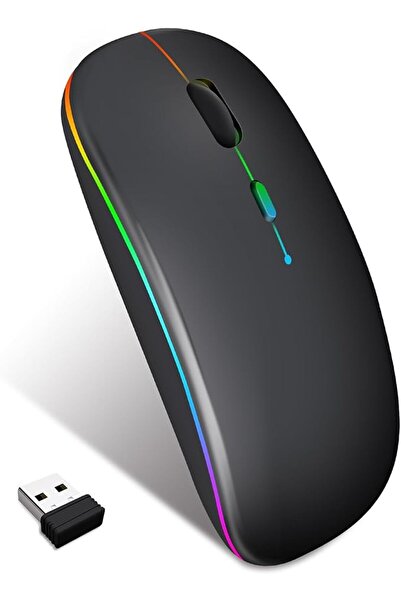 TERRIFI Dual Mode Wireless Mouse for Laptop and Computer, Rechargeable Blueto...