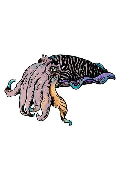 Choice 15CM 2pcs 2pcs Car Waterproof Self-adhesive Stickers, Squid Stickers, ...