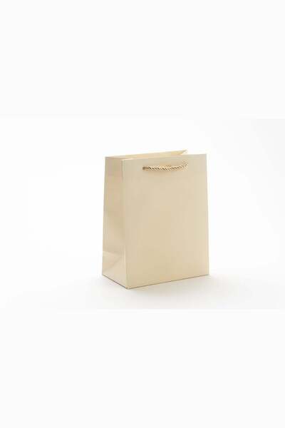 Meidi Packing Meidi Pungi cadou carton 18x23x10 cm Crem - Set 20 buc
