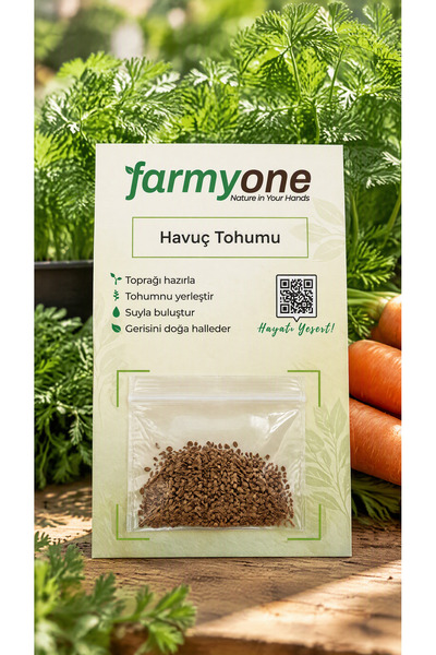 Havuç Tohumu – 500 Adet