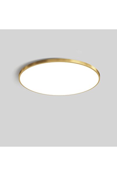 Noonedibs Lampă LED Tavan 30cm 30W, Ramă Auriu IP44, Rezistentă la Praf și Um...