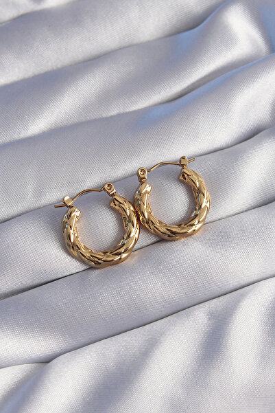 shopwave 316L Steel Gold Color Twist Appearance Oval Earrings