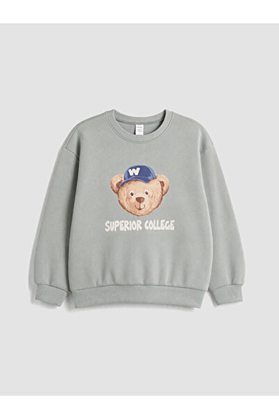 LC Waikiki Timeless Clothing & Timeless Choices Teddy Bear Printed Boys' Swea...