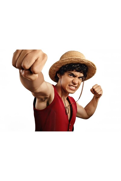 OEM Αφίσα Monkey D Luffy από το One Piece Netflix, 61x90 εκ., poster3550