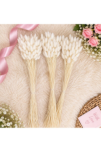 asievents Lagurus alb-ivory 90-100 grame,pachetul- Set 3 pachete