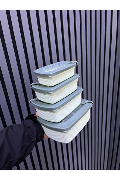 4 lü set saklama kabı