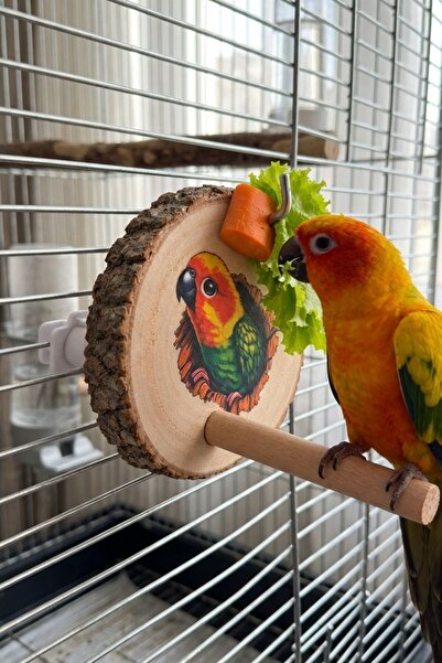 Mivra Pets Natural Wooden Bird Toy with Vegetable and Fruit Holder Cage Acces...