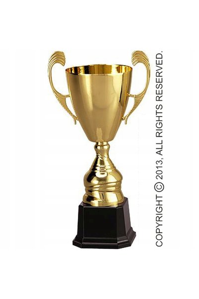 NO BRAND Cupa metalică aurie Triumph 4104F TROPHY 35cm
