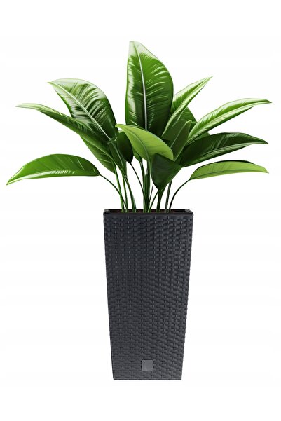 Deco4Home SET 3x JARDINIERE DE BALCON DIN RATAN, ANTRACIT, CU INSERT