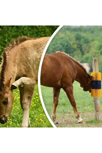 NO BRAND PERII PENTRU ANIMALE, 2 BUC. MASAJUL PREVINE MÂNCĂRIMILE ȘI ÎNDEPĂRT...