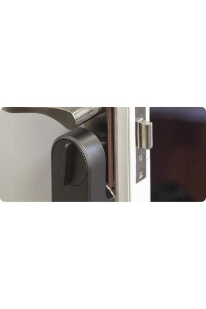 GOMEDIA Încuietoare electronică inteligentă de securitate pentru ușă, Tuya Sm...
