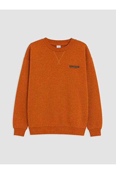LC Waikiki Crew Neck Boys' Sweatshirt (W6)