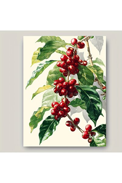 Generic Brand 1pc Modern Minimalist Coffee Plant Canvas Wall Art Print, Arabi...