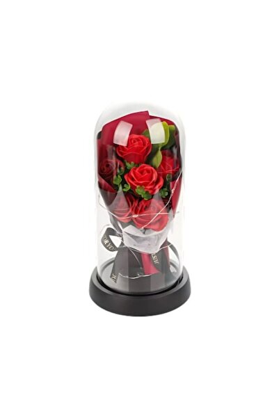 odjas Trandafiri în cupolă de sticlă cu lumini LED, roșii, 11 x 21 cm