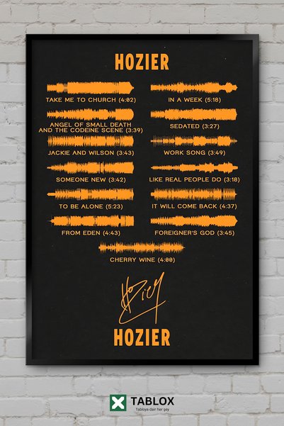 TABLOX Hozier Cântăreț Muzician Muzică Cântec Folk Album Concert Tablou decor...