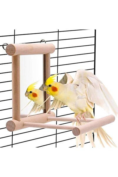 Bukela Bird Mirror Perch with Natural Wooden Stand, Interactive Bird Toys for...