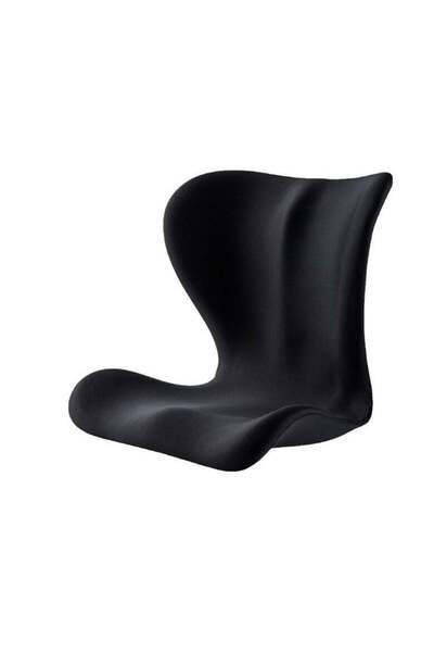 Arabest Ergonomic Memory Foam Seat and Lumbar Support Cushion for Office Chai...