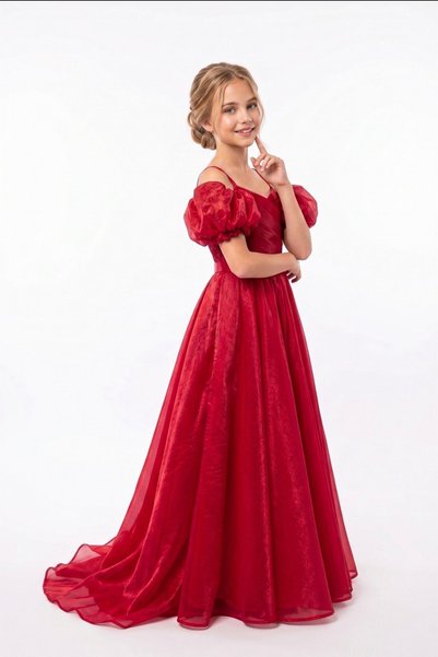 Baby Aden Babyaden Balloon Sleeve Long Glitter Fabric Girls Satin Evening Dress