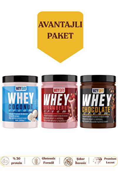 Whey Proteinli Fındık Kreması Seti 3'lü Hindistan Cevizi Çilek Çikolata 300 g Şeker İlavesiz