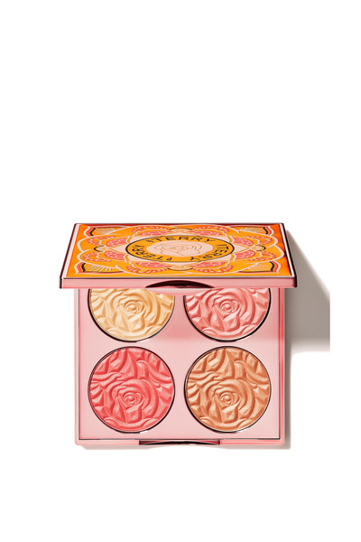 By Terry Brightening Cc Palette N1