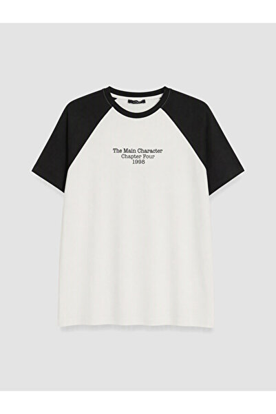 LC Waikiki Crew Neck Men's T-Shirt