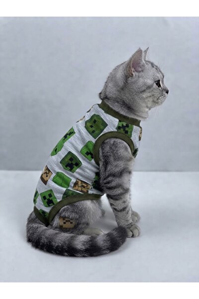 Zeysil kedi ameliyat operasyon sonrasi tulumu