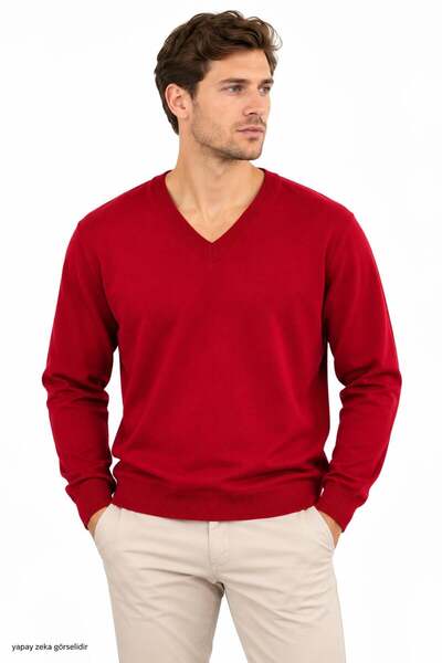 ModaPlaza Men's V-Neck Sweater