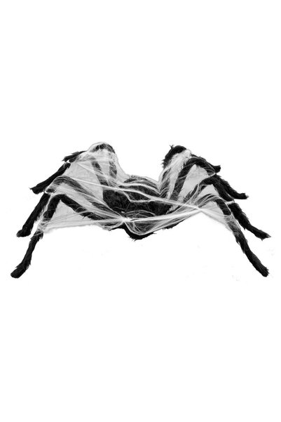 Party Magic Animated Spider with Sound 80x8x18cm
