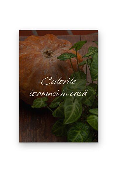 OEM Poster Carton 250g Culorile toamnei în casă, Artă de perete cu citat moti...