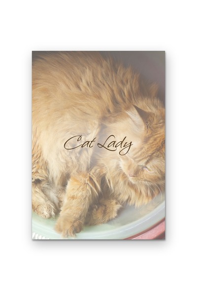 OEM Poster Carton 250g A4 Femeia cu Pisici, Citat Motivational, Decor Perete