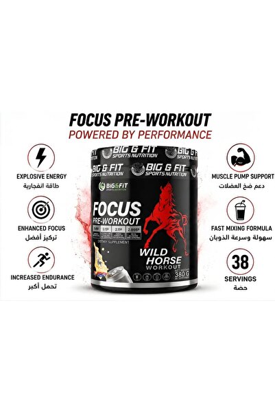 Big and Fit BIG & FIT SPORTS NUTRITION Wild Horse Pre-Workout Supplement 380g (mojito)