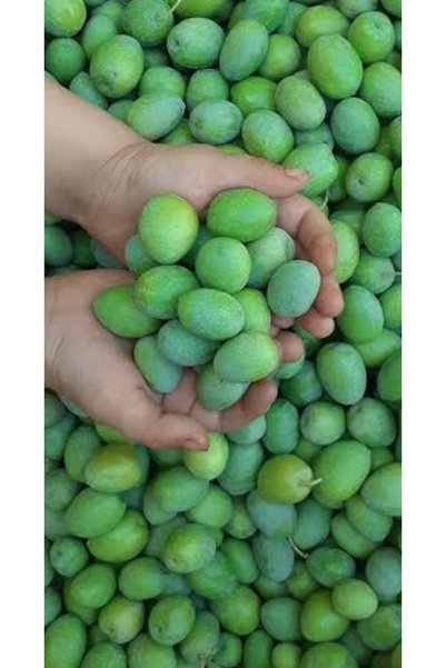 Genel Markalar Kırmalık yeşil zeytin 1 kg (Yeni Sezon )
