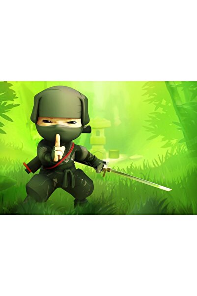 OEM Poster Ninja Desen Animat, 61x90 cm, poster4953