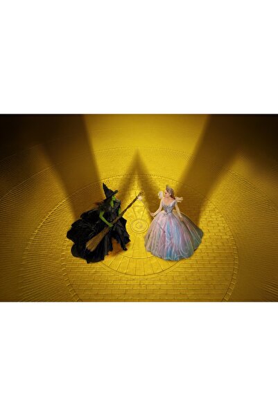 OEM Αφίσα Wicked For Good You Have Been Changed, 61x90 εκ., poster5098