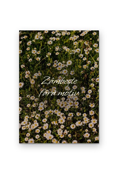 OEM Poster Carton 250g A4 Zâmbește fără motiv, Tablou perete motivațional