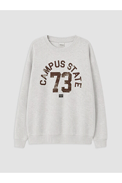 LC Waikiki Two Mt Shop Quality Lcw Kids Gray Printed Boys' Sweatshirt