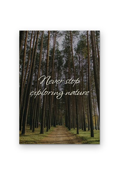 OEM Poster Carton 250g A4 - Citat Nu te opri niciodată din explorat natura, D...