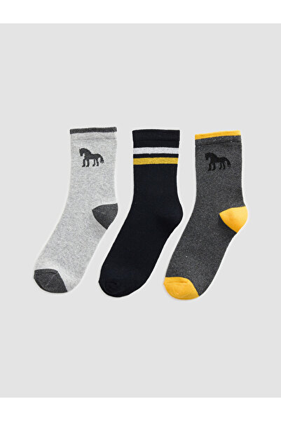 LC Waikiki Rmz Gi̇yi̇m Farkiyla Embroidered Boys' 3-Piece Socks