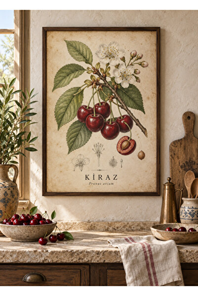 OAKY Life Vintage Botanik Tablo – Çerçeve Görünümlü MDF Meyve ve Sebze Temalı...