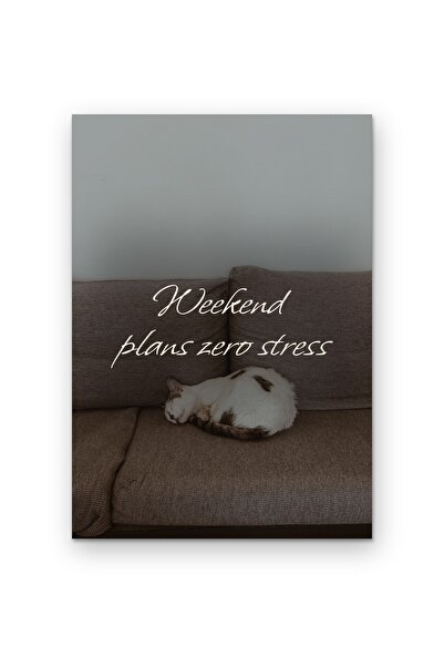 OEM Poster Planuri de Weekend Fara Stres, Decor Perete Motivational, Carton 2...